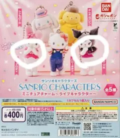 サンリオキャラクターズ ミニチュアチャーム　クロミ　マイメロ