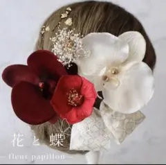 ベルベットカメリア、パール胡蝶蘭 コチョウランの髪飾り　結婚式や成人式に　赤白