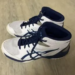 Item thumbnail for item 5bffba58-1024-4823-b9a9-2105485317d3