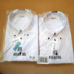 【新品未使用】アトリエ365 ボタンダウン半袖シャツ　2枚セット