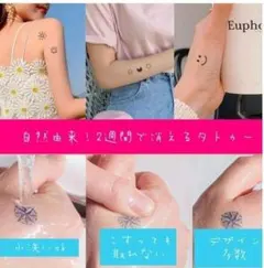 Item thumbnail for item 24391e6d-2dc1-4496-92ec-53b245ad04c5