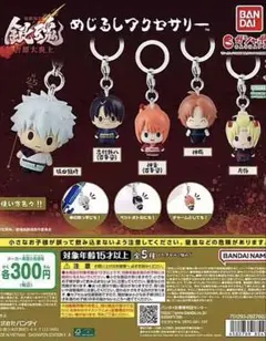 銀魂　めじるしアクセサリー