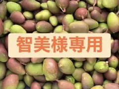 【谷平さま専用】摘果マンゴー 20kg 谷平さま専用】摘果マンゴー - メルカリ