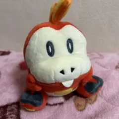 ポケモン ぬいぐるみ ホゲータ