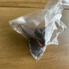 一番くじ ウルトラマン 怪獣超大全 F賞 怪獣頭鑑 ウルトラ怪獣 ゴモラ