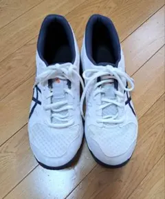 Item thumbnail for item 314e0916-3b32-48d0-a303-013e4b9af33a