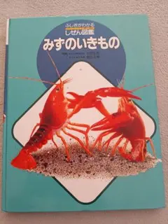 Item thumbnail for item a54a6913-dfdd-445f-9902-9d3e6b17eb9e