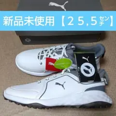 Item thumbnail for item 9d333cb0-4c02-4d00-8a2e-090ce8dd168c