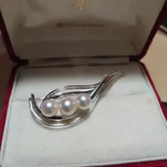 Item thumbnail for item 4728b426-3f16-4972-a244-a0272d4f2abd