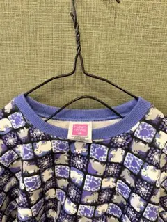 【90年代】【ヴィンテージ】Hanes トレーナー 10-12T 145-150