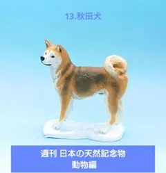 2025年最新】週刊日本の天然記念物の人気アイテム - メルカリ