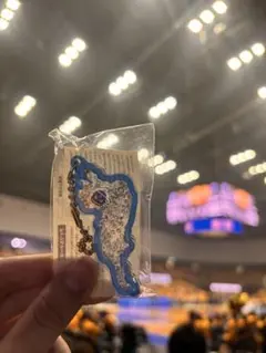 琵琶湖鑰匙圈 湖人隊 滋賀湖人隊 Magnie 籃球