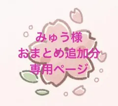 みゅう様 リクエスト 5点 まとめ商品