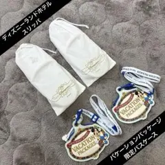 東京ディズニーランドホテル スリッパ 大人用２足と限定パスケース２個