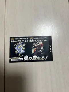 色違いミライドンのみ