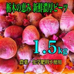 畑のルビー‼️ 食べる輸血と話題の赤穂ビーツ rb01 - メルカリ