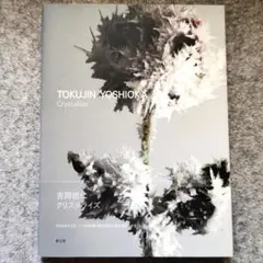 2025年最新】倉俣史朗デザインの人気アイテム - メルカリ