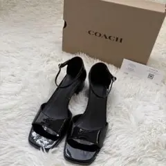 Item thumbnail for item 8d74c61a-9e55-4823-828c-1c79aefa6d7e