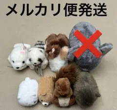 Item thumbnail for item 37217f63-f227-43c7-a982-37f8aefd40d5