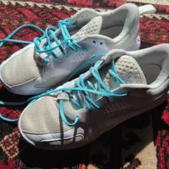 Item thumbnail for item 84c5589b-65b7-4630-9493-65fb848e8f3c