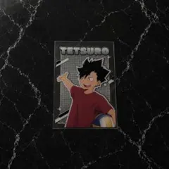 ヨーショー 黒尾鉄朗 ハイキュー クリアカード クリカ カード