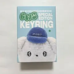 ◎ビョンウソク◎ BWS SPECIAL EDITION KEYRING - メルカリ