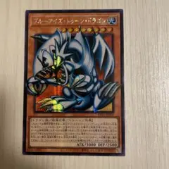 遊戯王 ブルーアイズ・トゥーン・ドラゴン シークレット オーバー