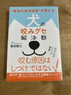 Item thumbnail for item eab24128-49bf-4060-afae-0b7c67ffdbf7