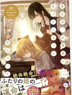 【新品初版】ある日、お姫様になってしまった件について 12 単行本
