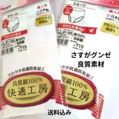 グンゼ綿100% LLサイズ ショーツ 2枚おまとめ