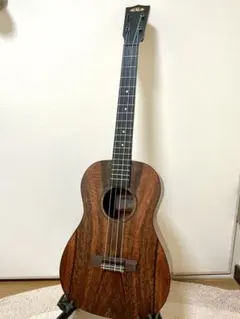 エレアコArt&Lutherie ギター アコギ ミニサイズ デニムブルー - メルカリ