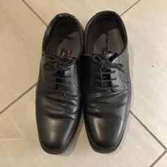 Item thumbnail for item d481ff04-248c-4331-9d0a-85f0a9d3e4ff