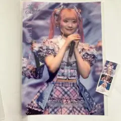 Item thumbnail for item 4b9d7b88-00ae-4041-aa20-efe4625f905b