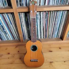 Item thumbnail for item b4c21363-66bf-4c54-859b-e1b564a998ac