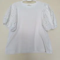 袖レースTシャツ　850円から本日底値ですのサムネイル