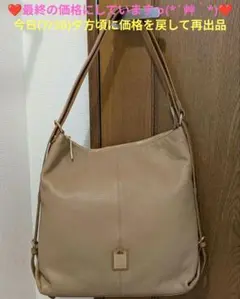 美品】ハースケジュール ❤ワーク＆トリップ❤ A4サイズ対応 - メルカリ