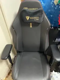 Secretlab TITAN Evo 2022 ゲーミングチェア　Rサイズ