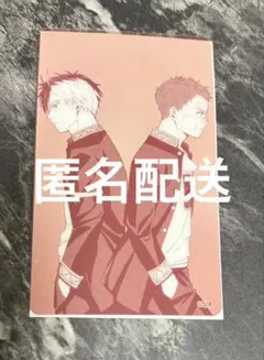 【即日・匿名配送】　ウィンブレ　原画展　クリアシート　桜　杏西　カード セット