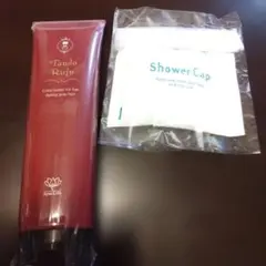 タンドルージュ　ダークグレー　ヘアトリートメントおまけつきのサムネイル