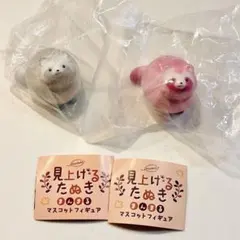 雪 桜 見上げるたぬき 2個セット まんまる フィギュア マスコット アニマル