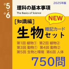 ❗️5日まで10%割引【100】中学受験　国語・算数・理科・社会　暗記カード ❗️5日まで10%割引【100】中学受験 国語・算数・理科・社会