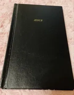 Item thumbnail for item 7c495eae-e664-480b-9505-1de8b563887f