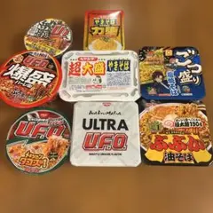 サッポロラーメン しょうゆ 塩味 焼きそばソース 麺のスナオシ 8ケース