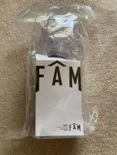 点灯確認済みFAM ペンライト We're timeless LIVE TOUR