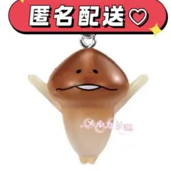 今週のみ♡匿名配送♡なめこ栽培キット めじるしアクセサリー2 コピペ❌