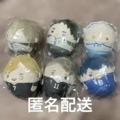 ハイキュー！　くじメイト　ぬいくじ　D賞　ふわコロりん　6個まとめ売り