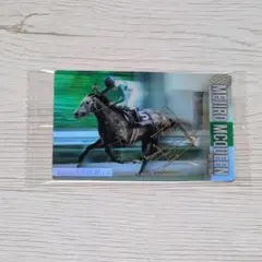 サラブレッドホースコレクション　メジロマックイーン　金箔サイン入り