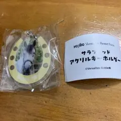 サラブレッドアクリルキーホルダー　レディアイコ