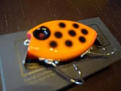 ライフベイトLifeBaitヒップフラップ2 ローカル☆トップブリッジ