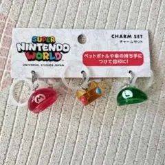 ユニバーサルスタジオ　SUPER NINTENDO WORLD チャームセットのサムネイル